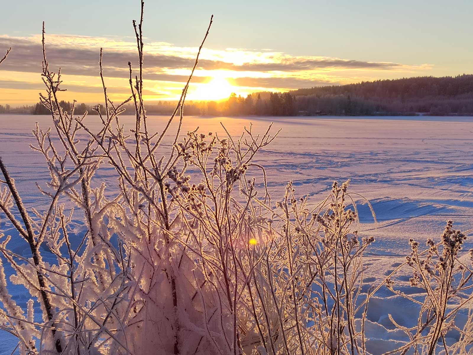 You are currently viewing Mil­lä arvoil­la kaa­voi­te­taan?